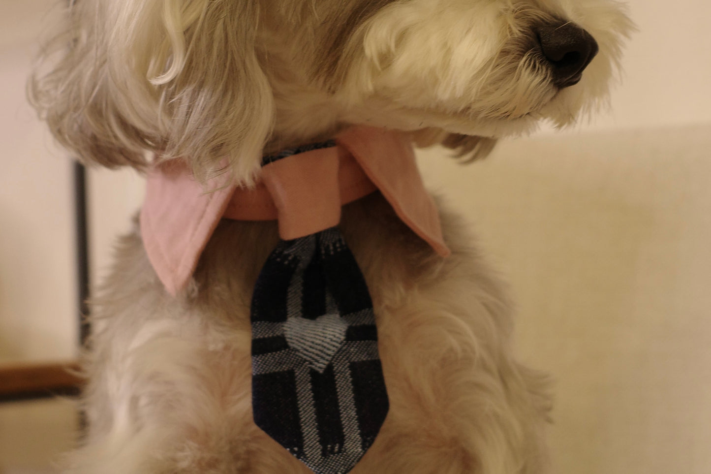 Furrever Bandana Ties