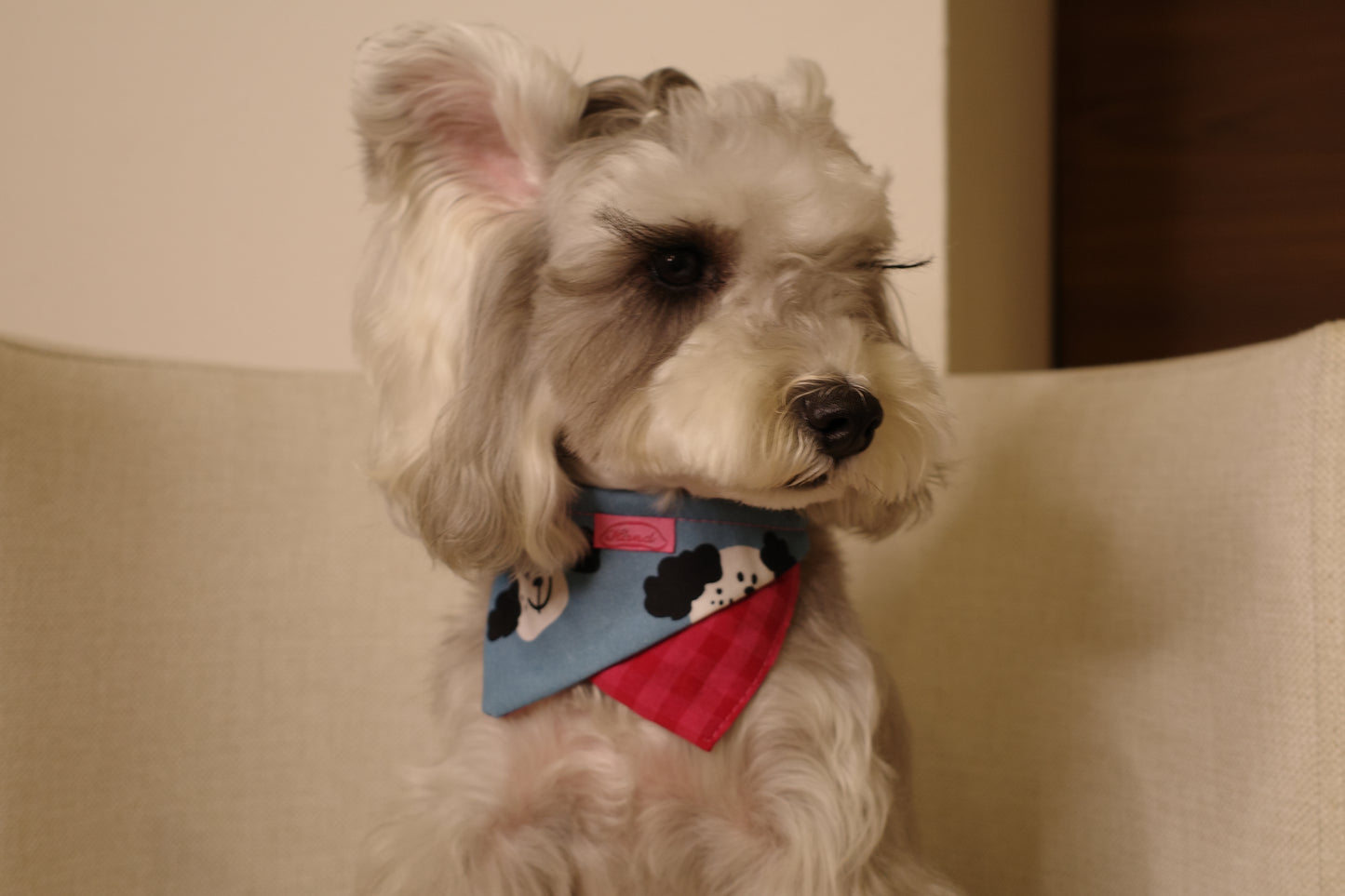 Hergry Handmade Dog Bandanas