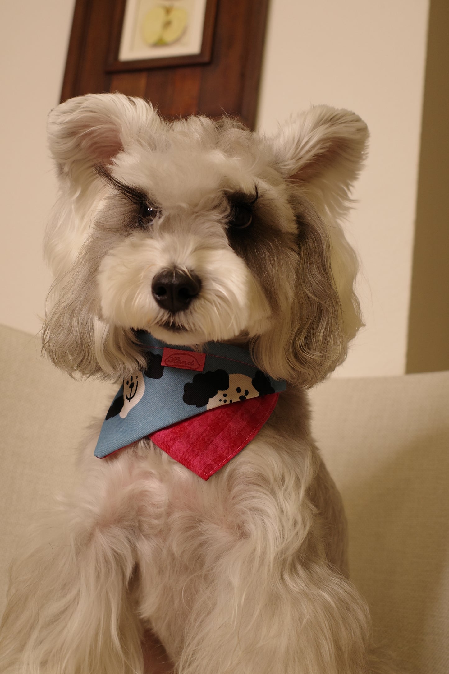 Hergry Handmade Dog Bandanas