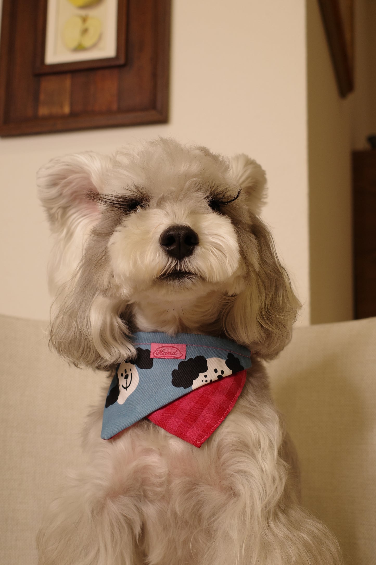 Hergry Handmade Dog Bandanas