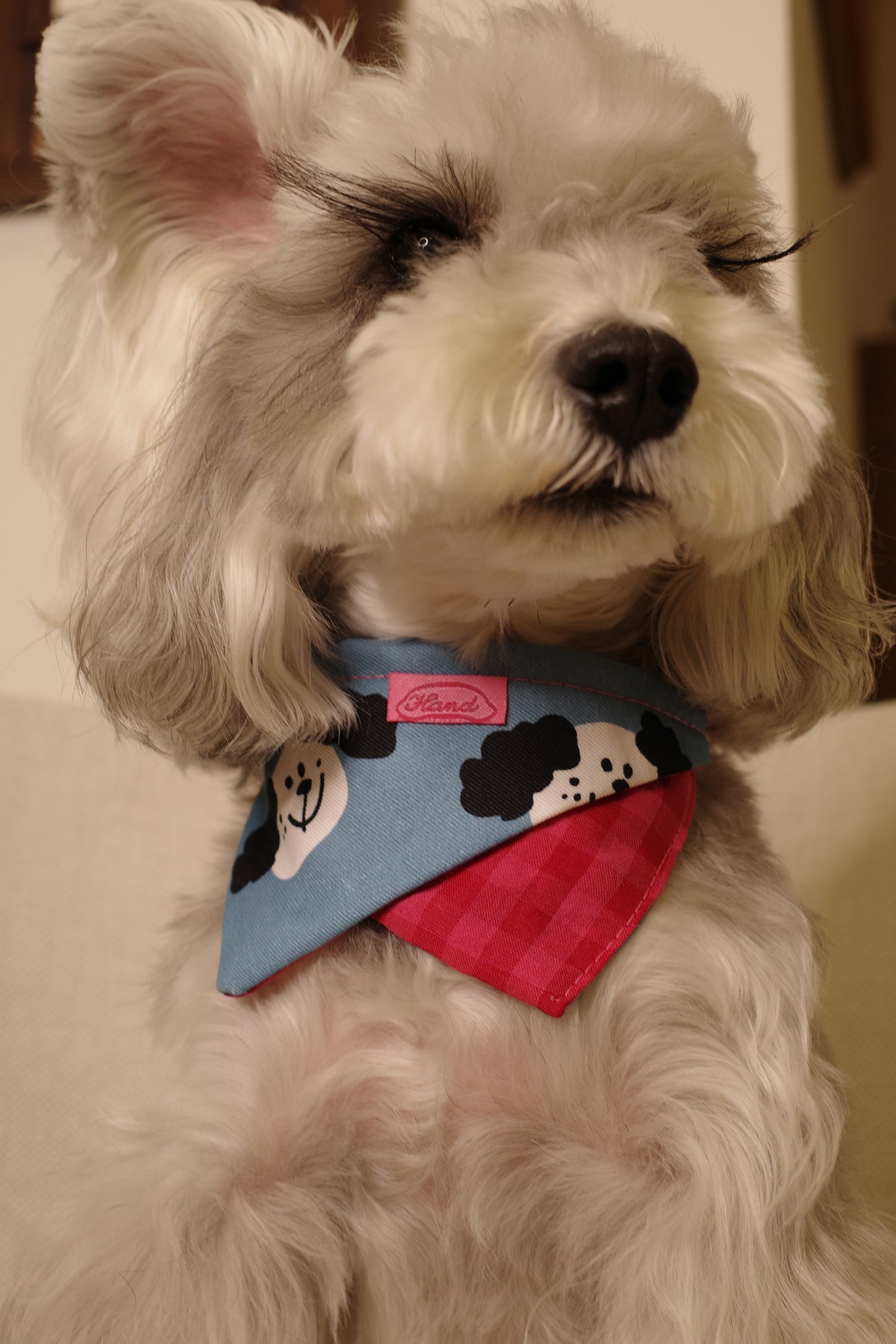Hergry Handmade Dog Bandanas
