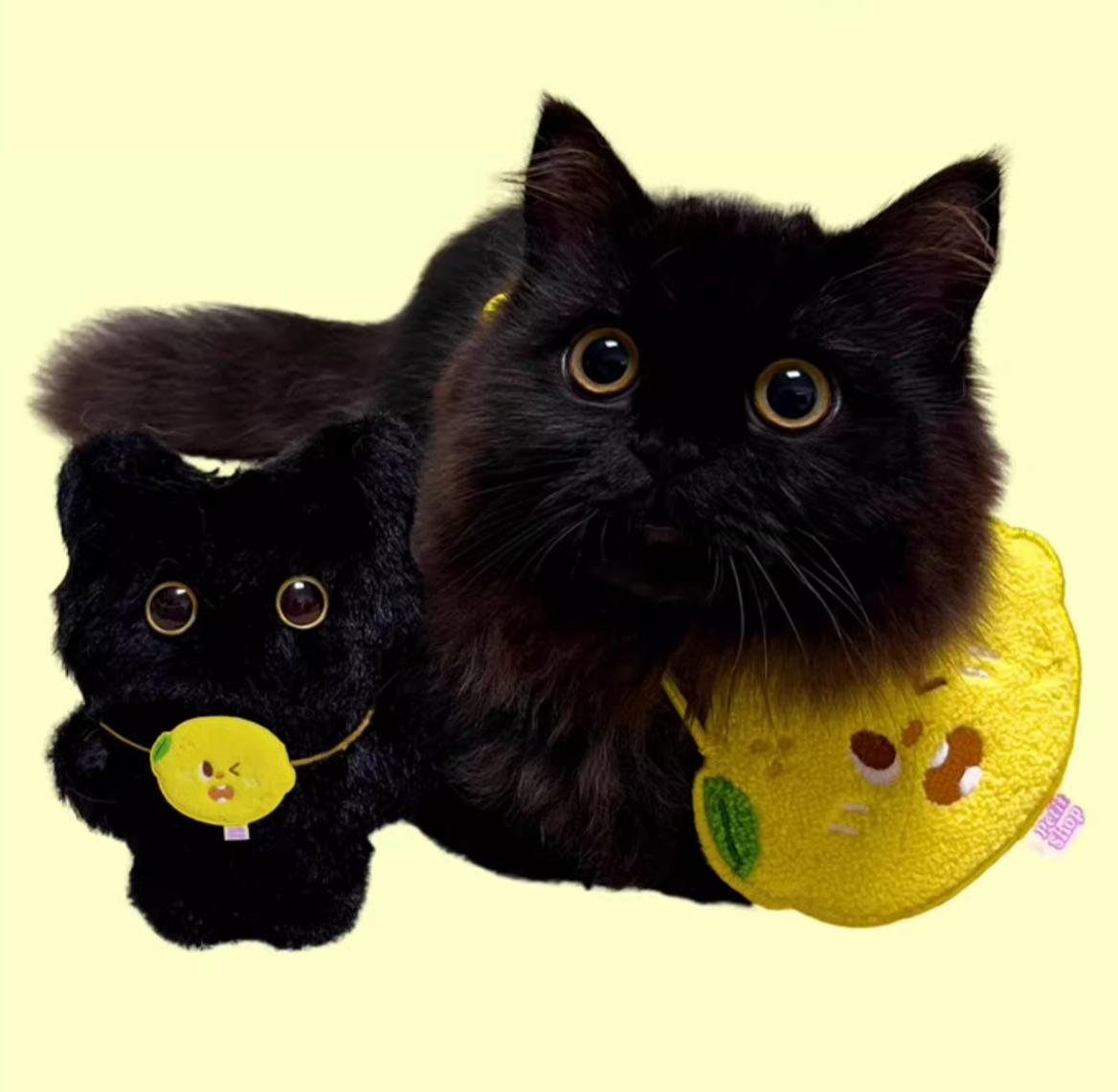 Petit Shop Bandanas