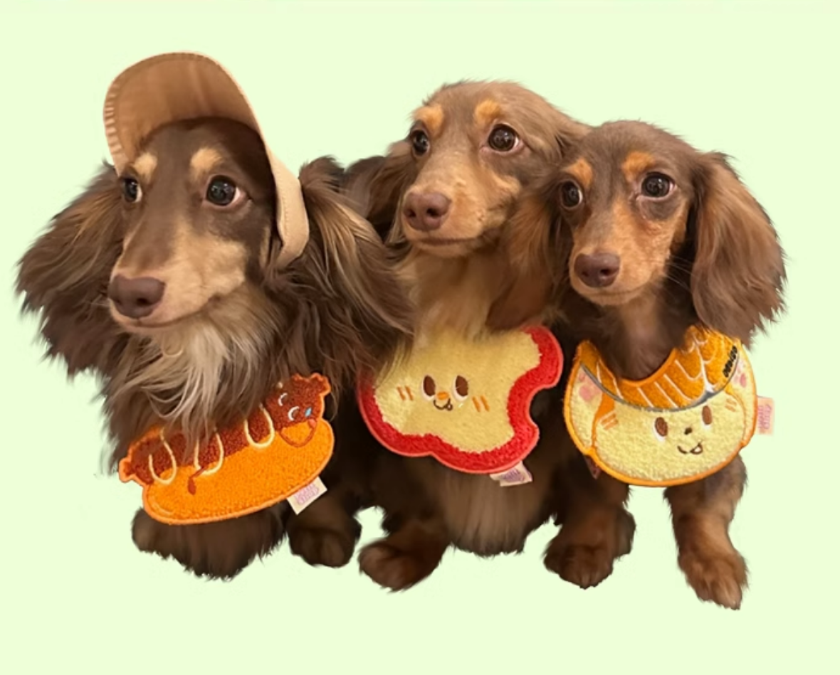 Petit Shop Bandanas