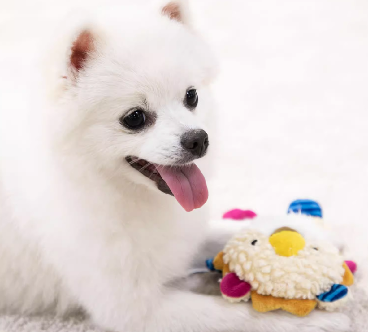 Gigwi Suppa Puppa Dog Toys