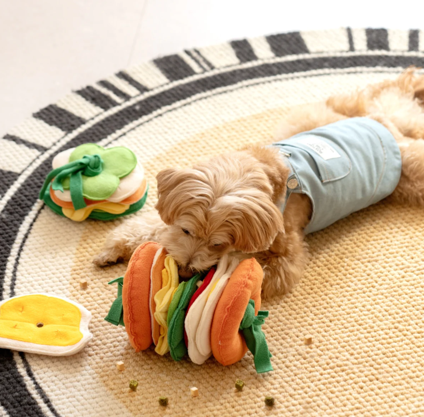 Mewoofun Hamburger Snuffle Toy