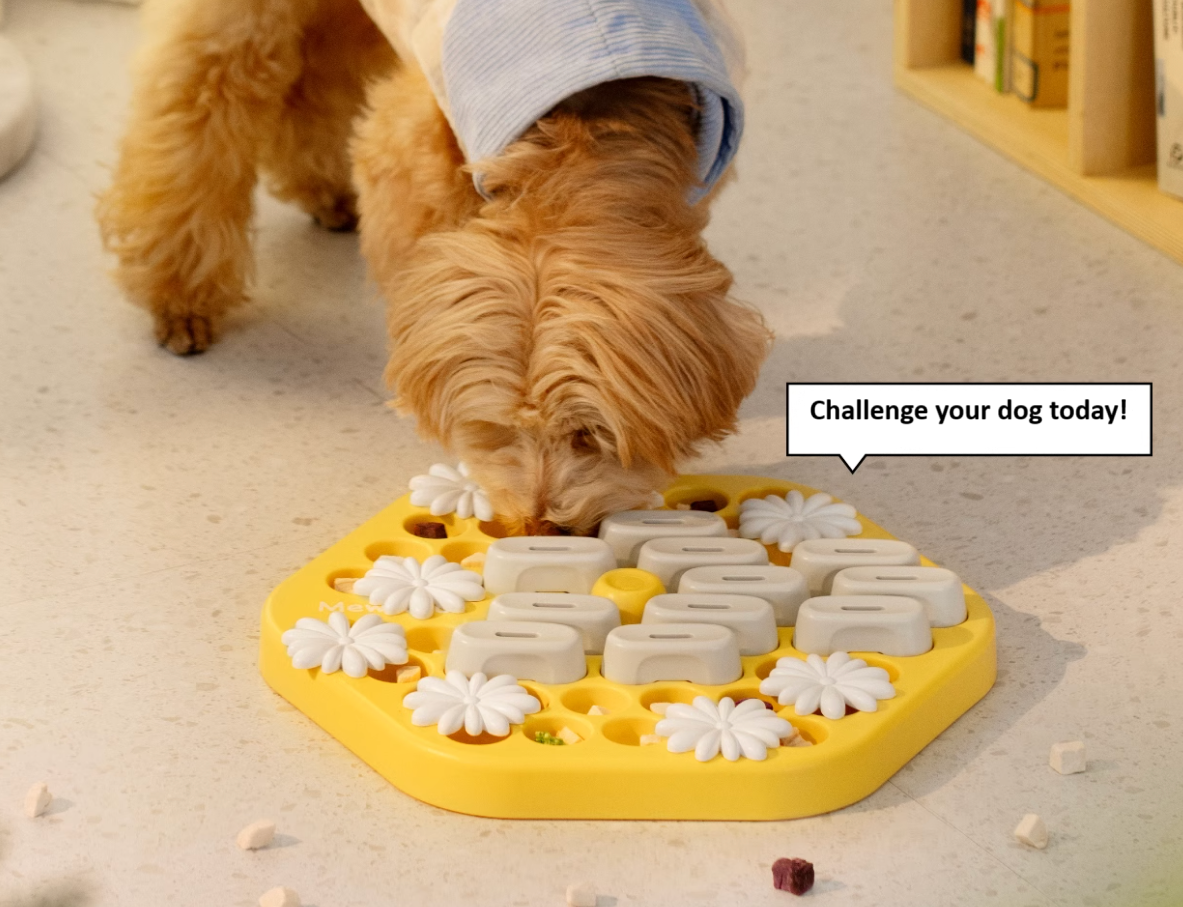 Mewoofun Bee Puzzle