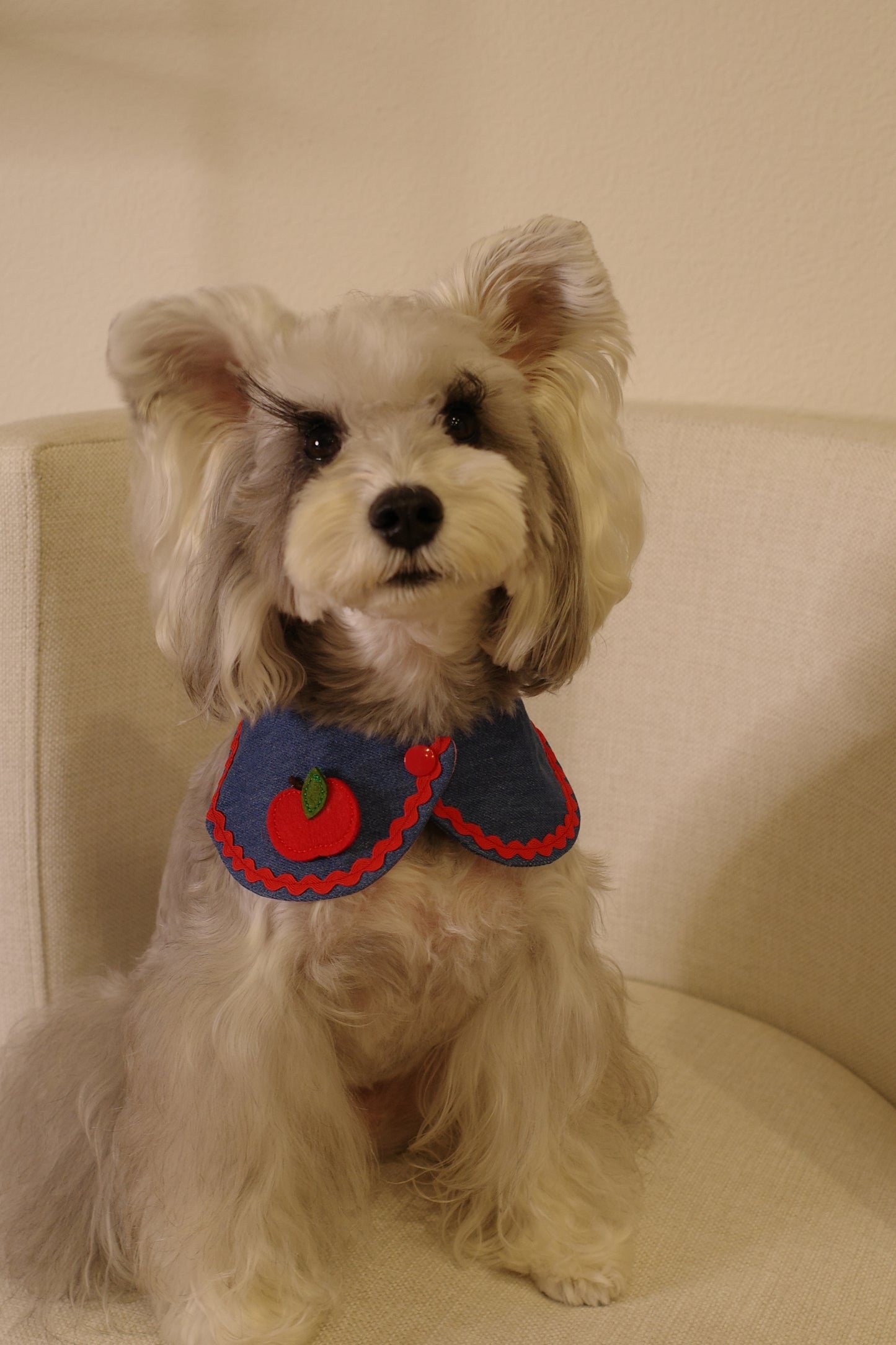 Furrever Bandana Collars