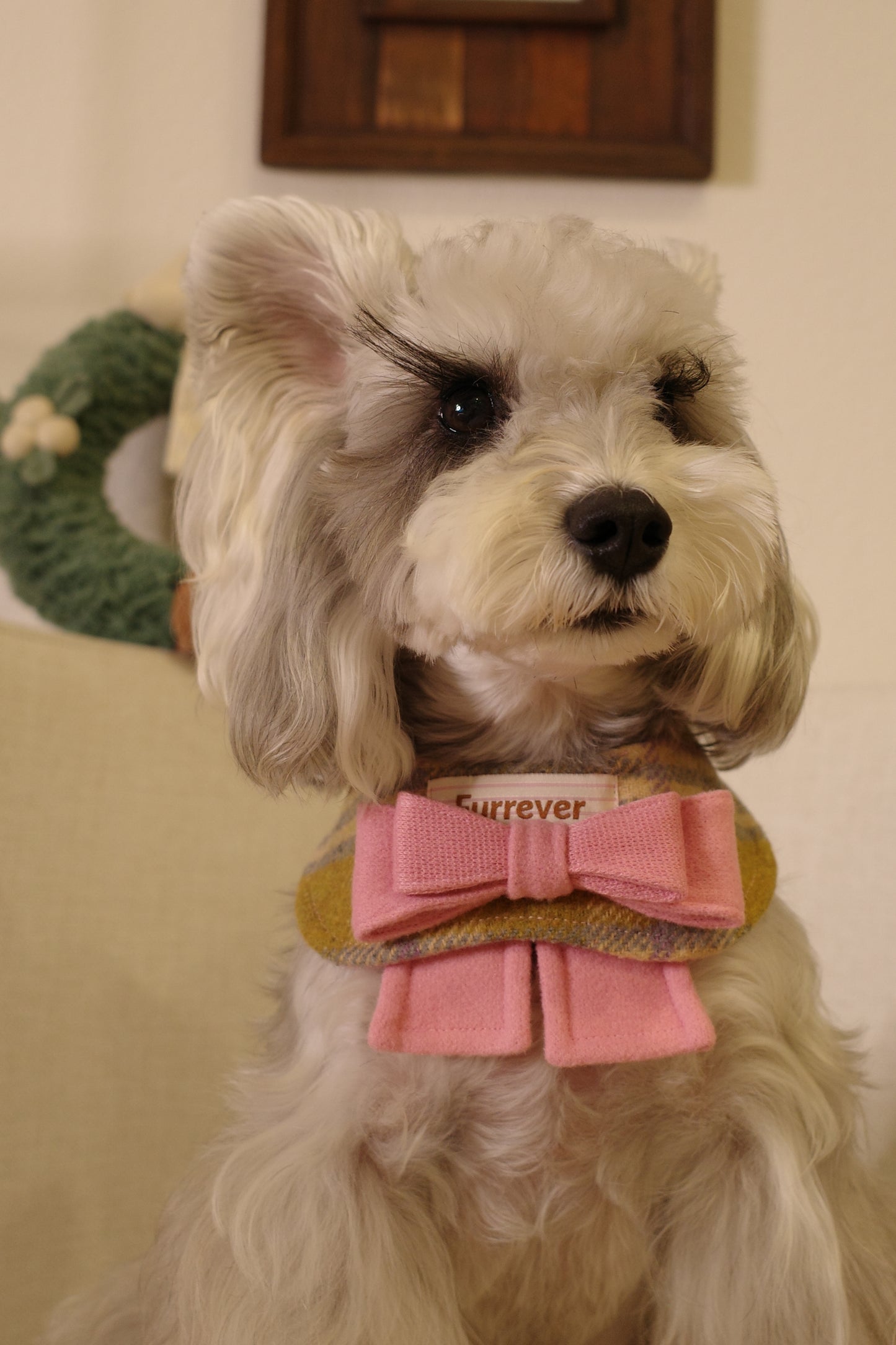 Furrever Bandana Collars