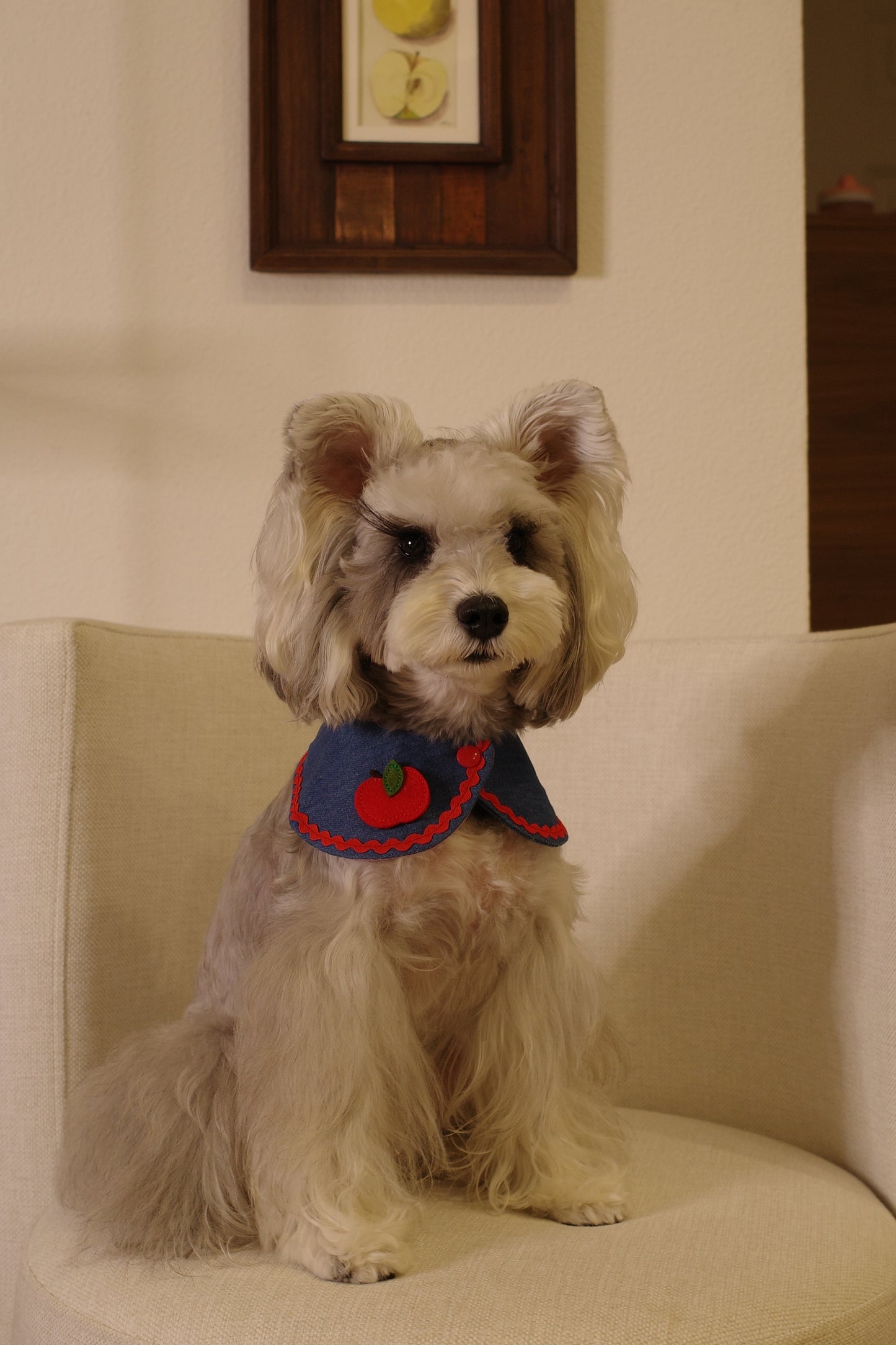 Furrever Bandana Collars