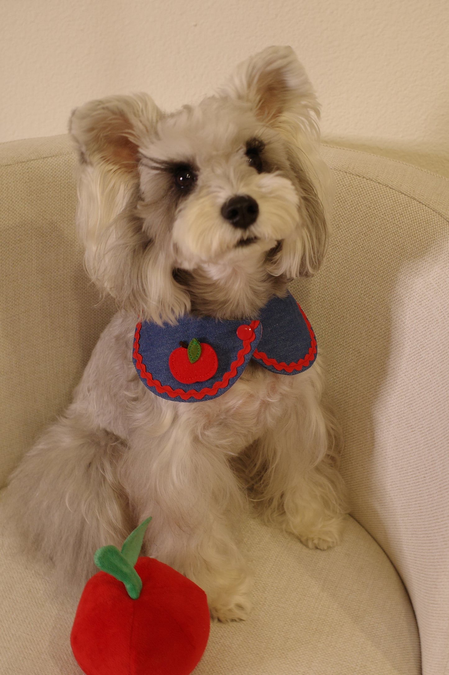 Furrever Bandana Collars