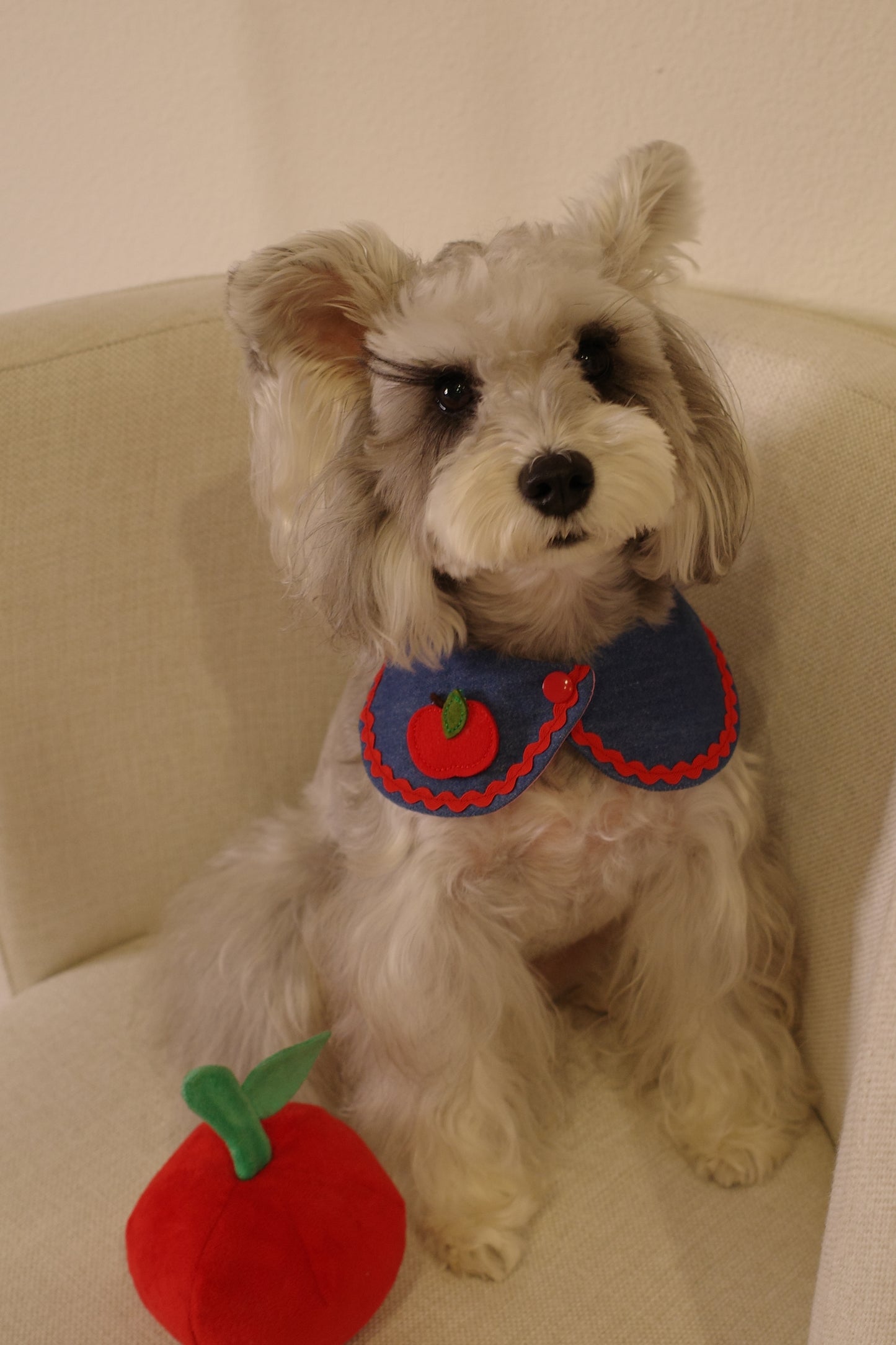 Furrever Bandana Collars