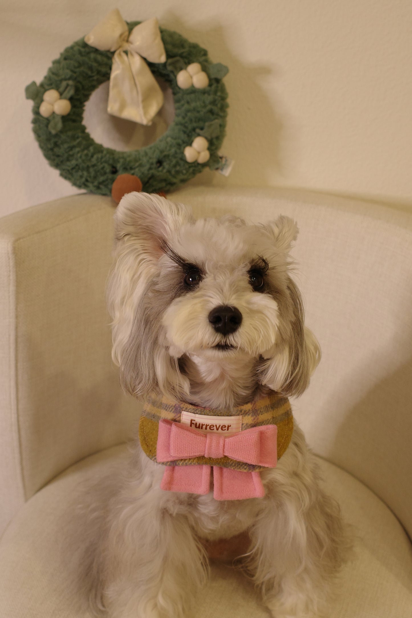 Furrever Bandana Collars