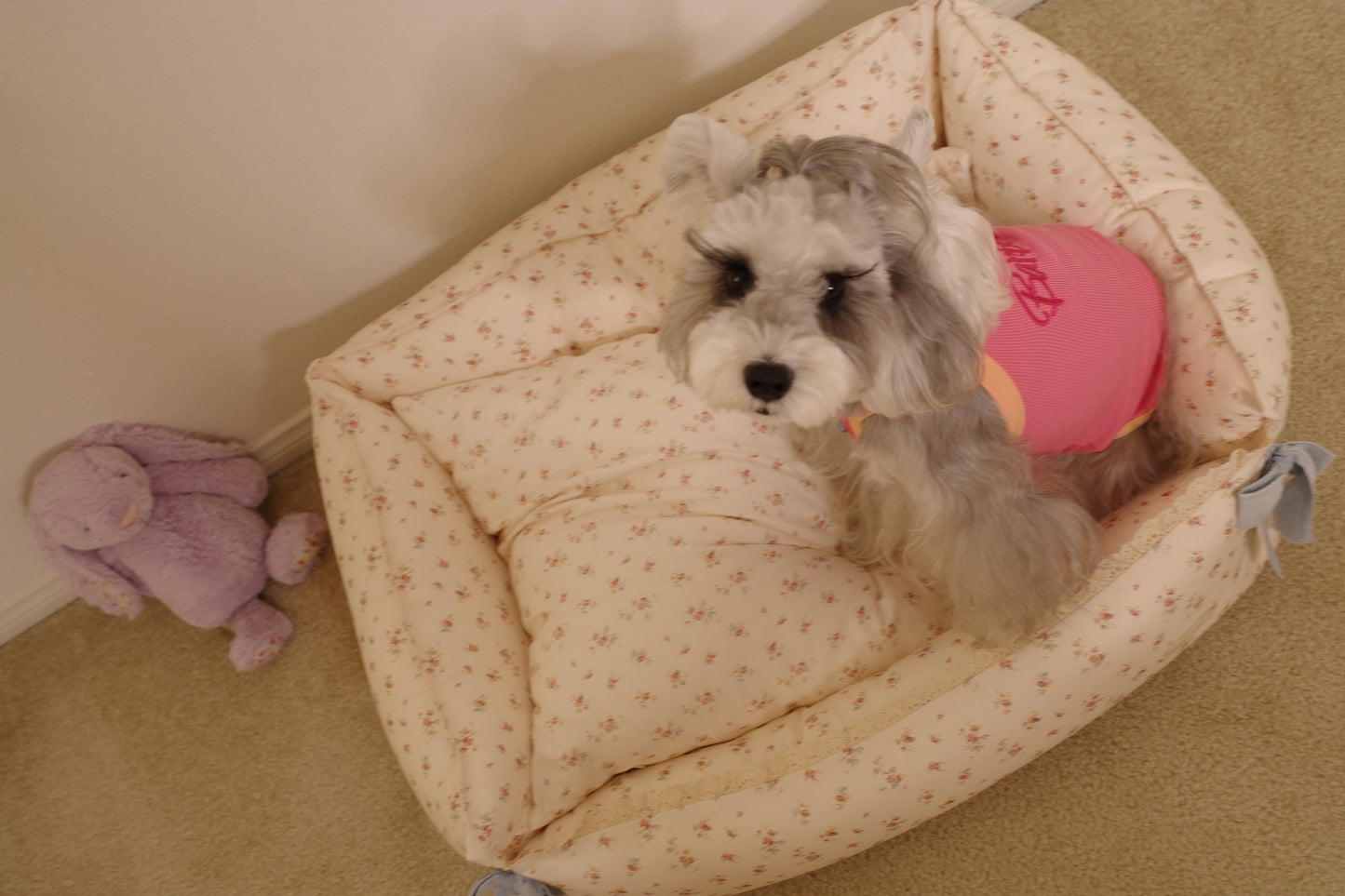 Nifty Fairy Dog Bed