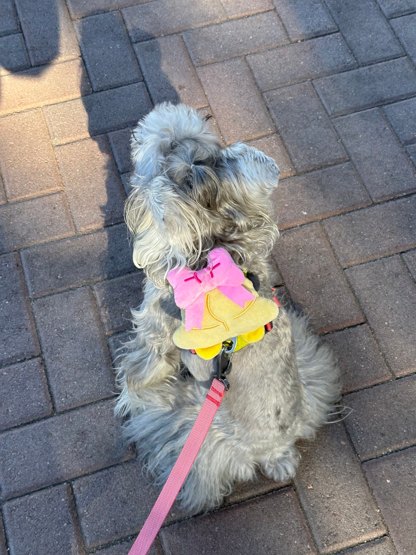 TuffHound Poop Bag Backpacks