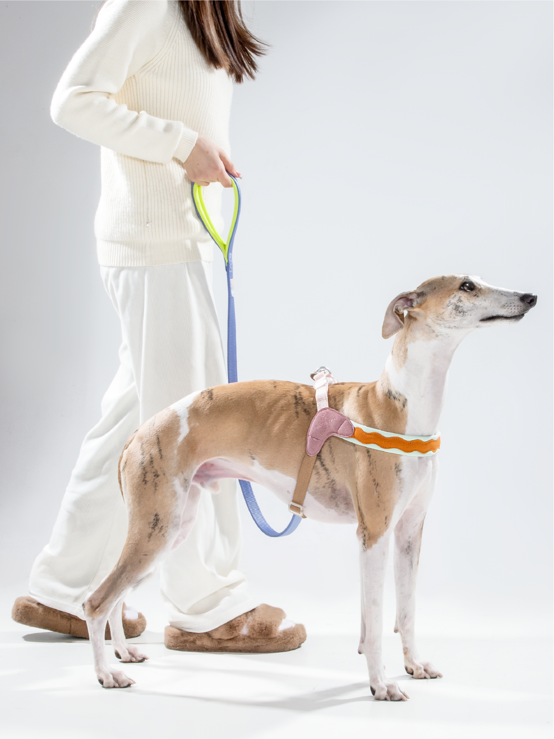 Maogoublue Island Dog Harness