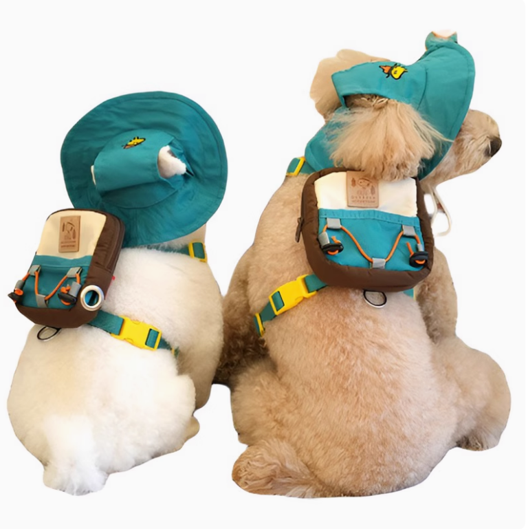 Luckytail Peanuts Adventure 2Way Backpack Harness Set