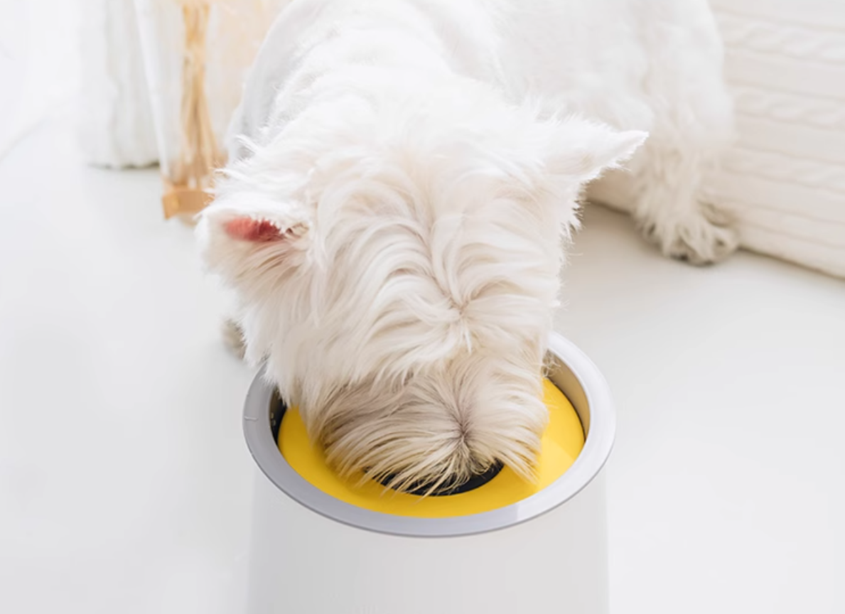 Yogipet Flow Water Bowls