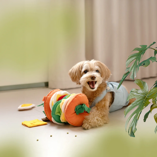 Mewoofun Hamburger Snuffle Toy