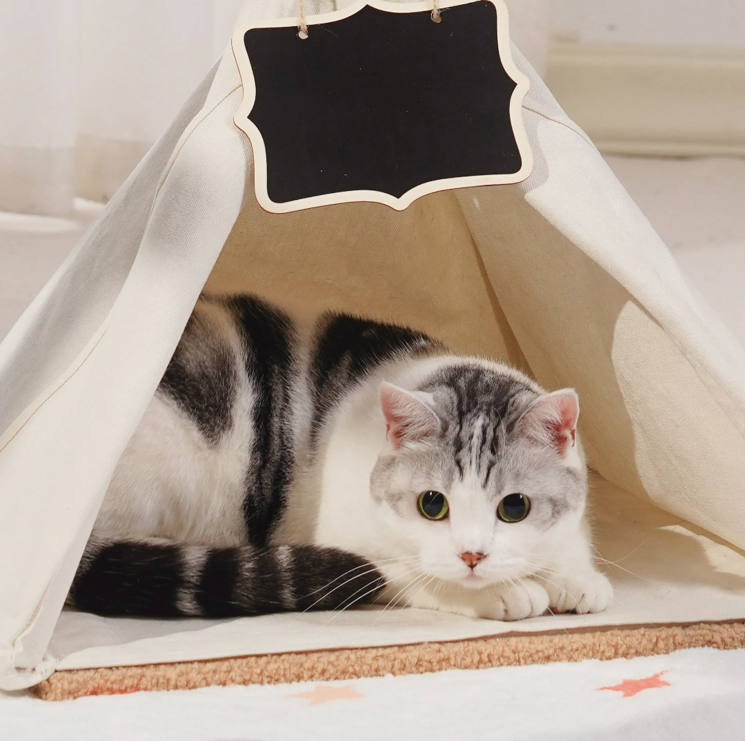 Mewoofun Cat Scratching Post/ Teepee Bed Combo