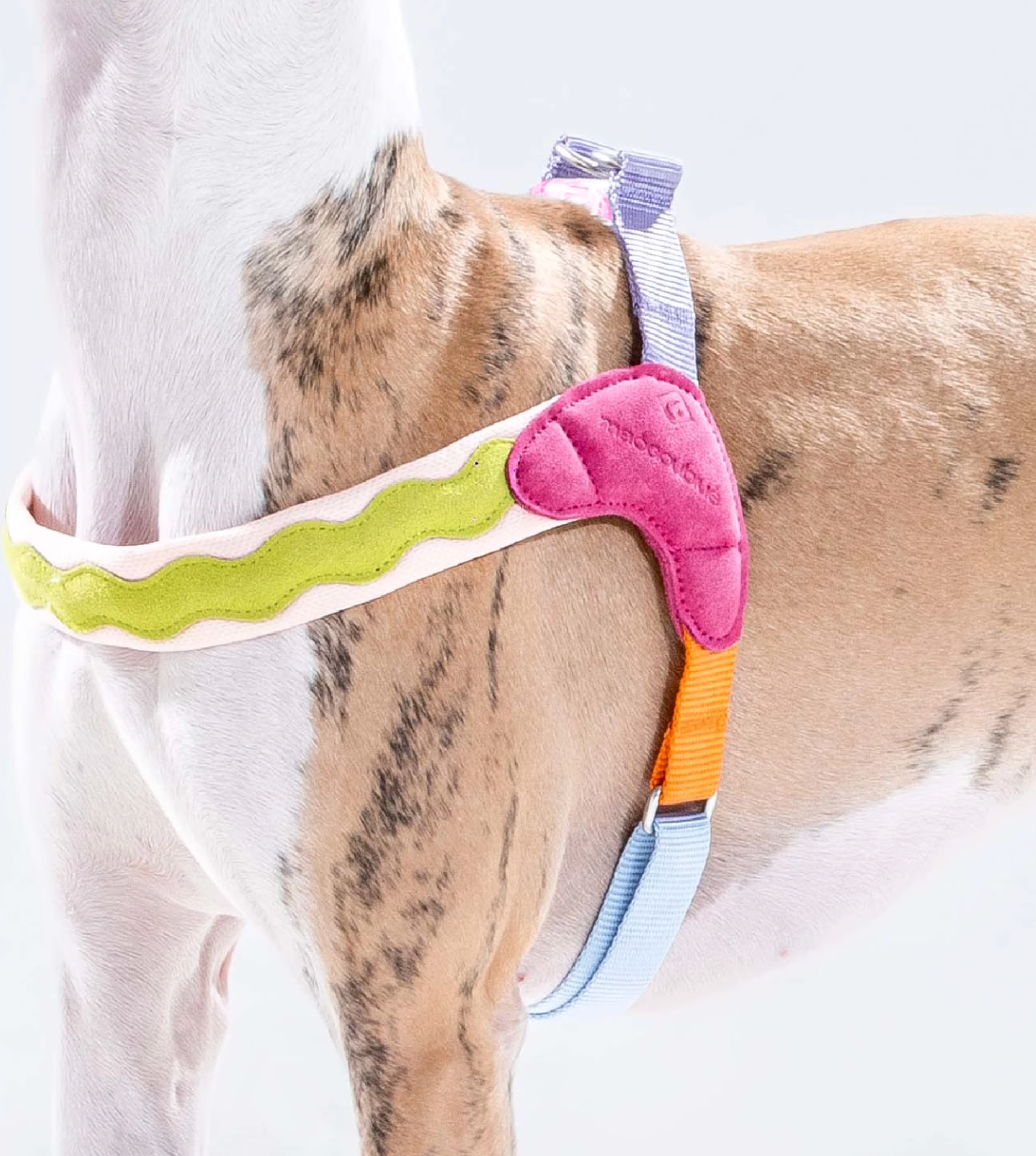 Maogoublue Island Dog Harness